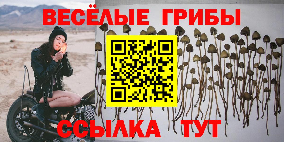Галлюциногенные грибы Psilocybine cubensis Туймазы