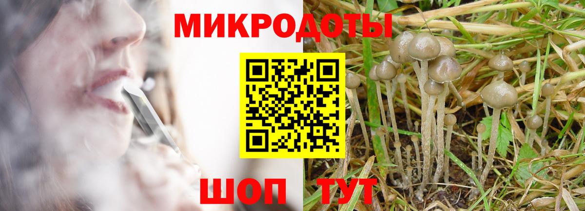 Туймазы  Псилоцибиновые грибы Cubensis  Вход с VPN  Псилоцибиновые грибы мицелий 